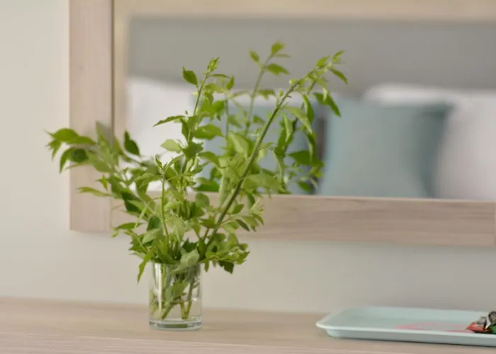 Proteas Mare * Протарас